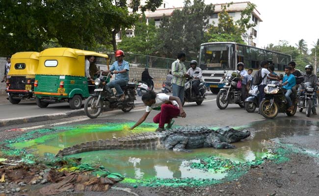 Crocodile in bangalore city